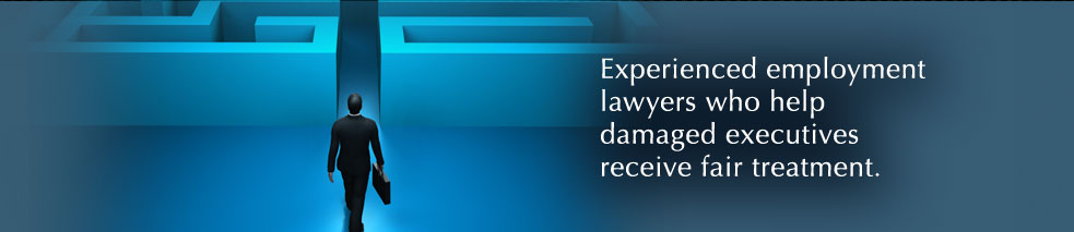 Experienced bankruptcy lawyers who can help consumers who have fallen into debt.